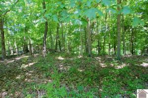000 Deer Run Loop Lot #42