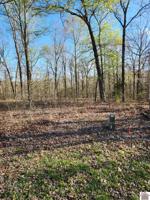 Lot 156 Deepwood Dr