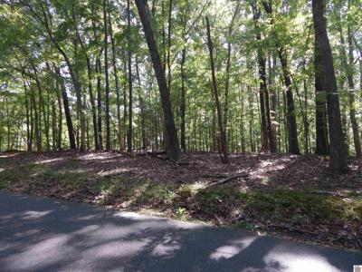 Lots 29 & 30 Indian Hills Trail