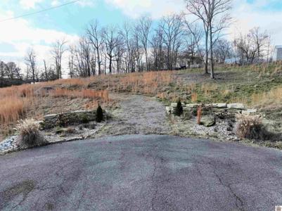 Pine View Drive