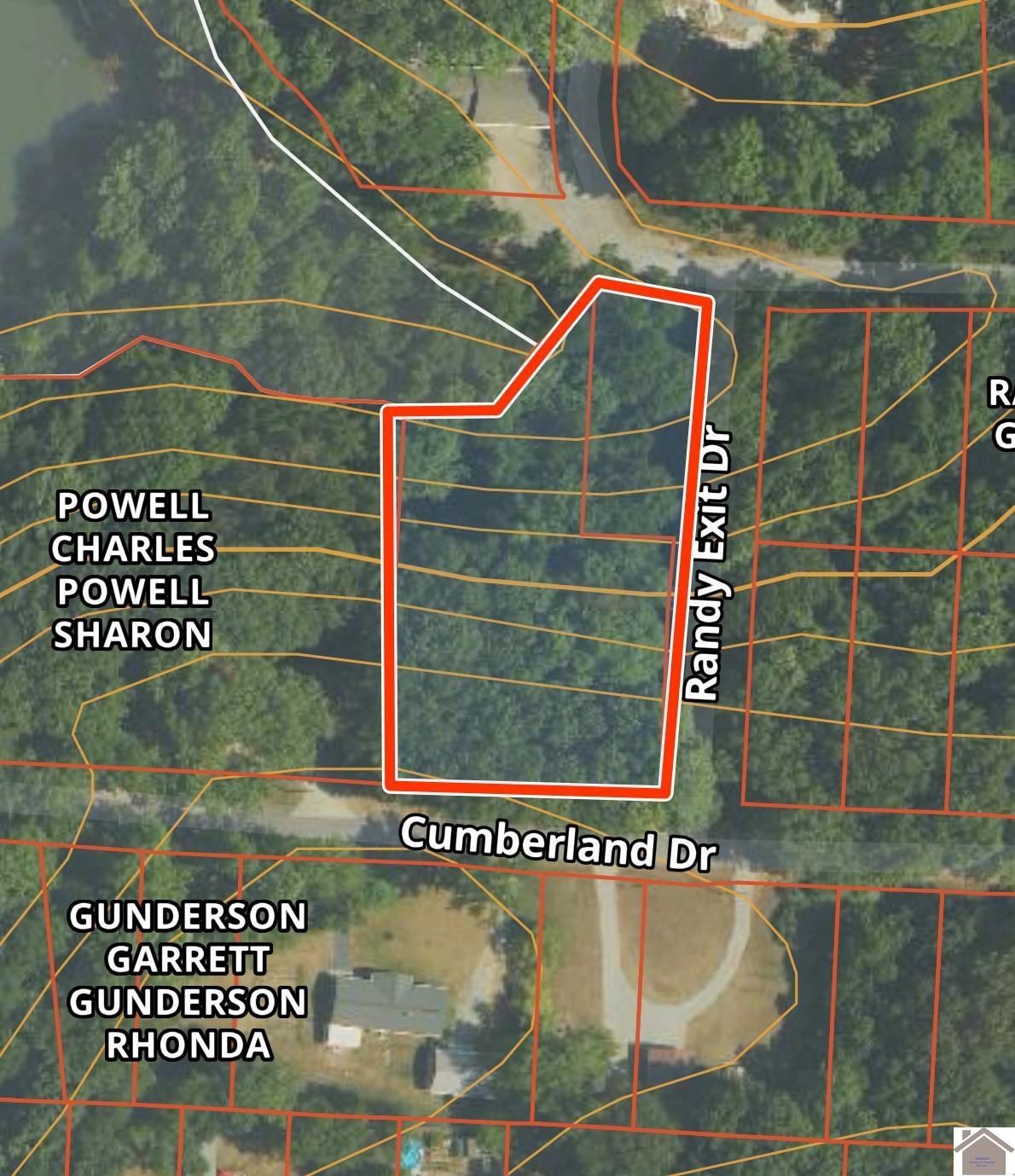Image 1: Image 1