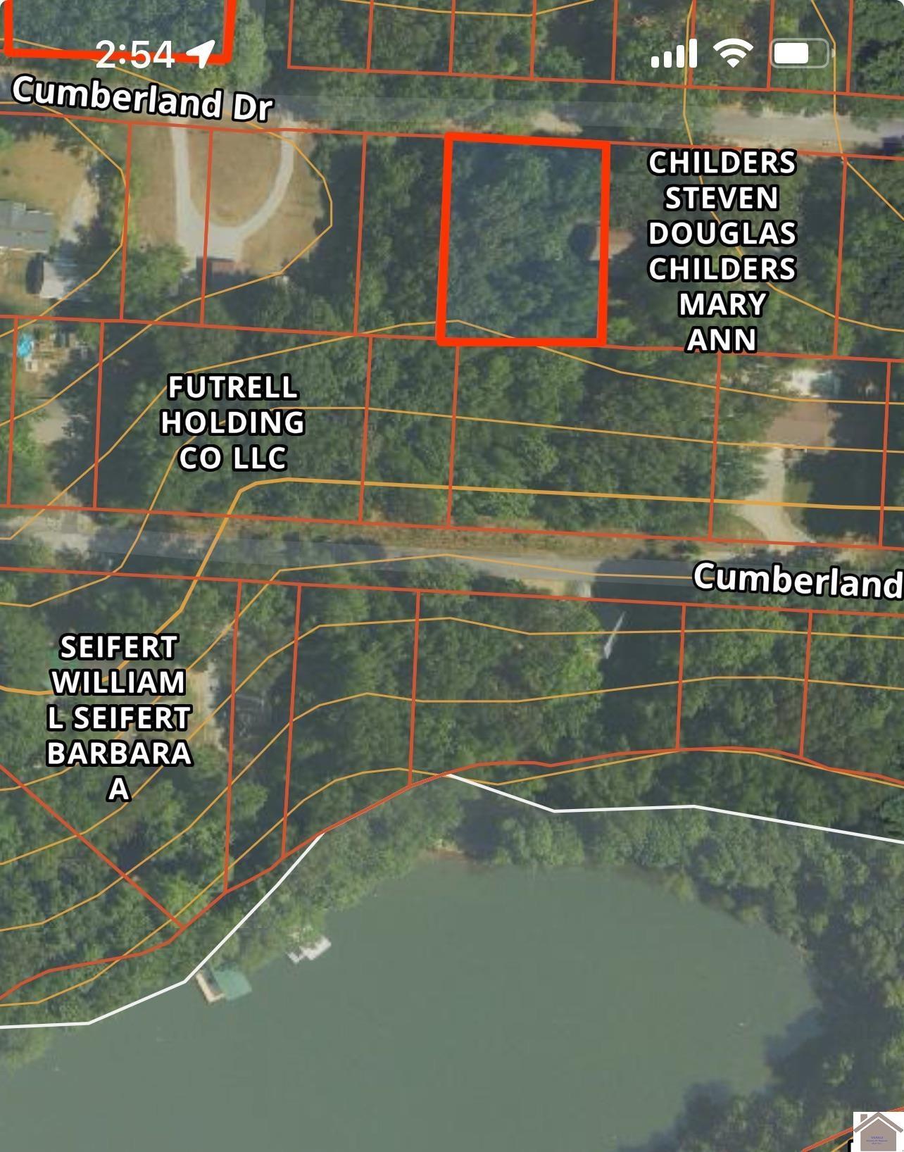 Image 1: Image 1