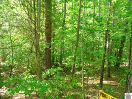 247 Landmark Circle (Lot # 57)