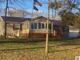46 Nancy Ave