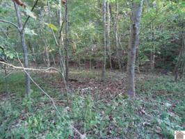 243 Bluff Top Rd