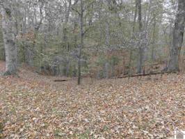 323 Redbird Drive(lot # 277)