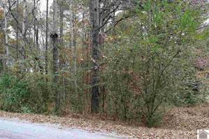 Lot 111 Lime Drive