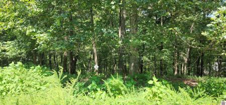 00 Trillium Way, Cadiz, KY 42211, USA