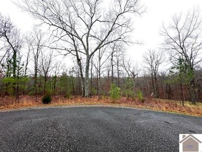 Lot 184 Yellowbird Lane