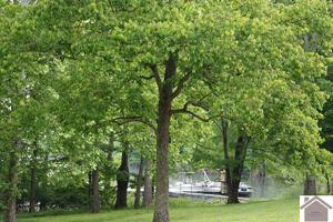 Lot 1 Persimmon Place
