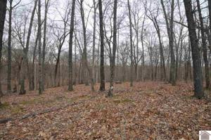 00 Hills Hollow Road, Lot 20