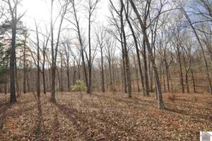 00 Hills Hollow Road, Lot 51