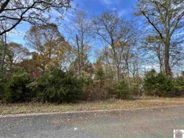 00 Weekend Lane, Lot 46