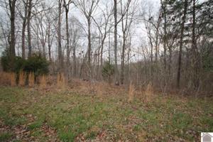 Lot 3 Haynes Cemetery Rd