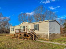 80 Tina Drive