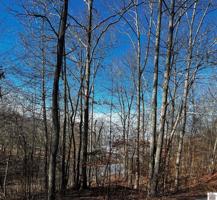 Lot 36 Canton Heights 2 Circle
