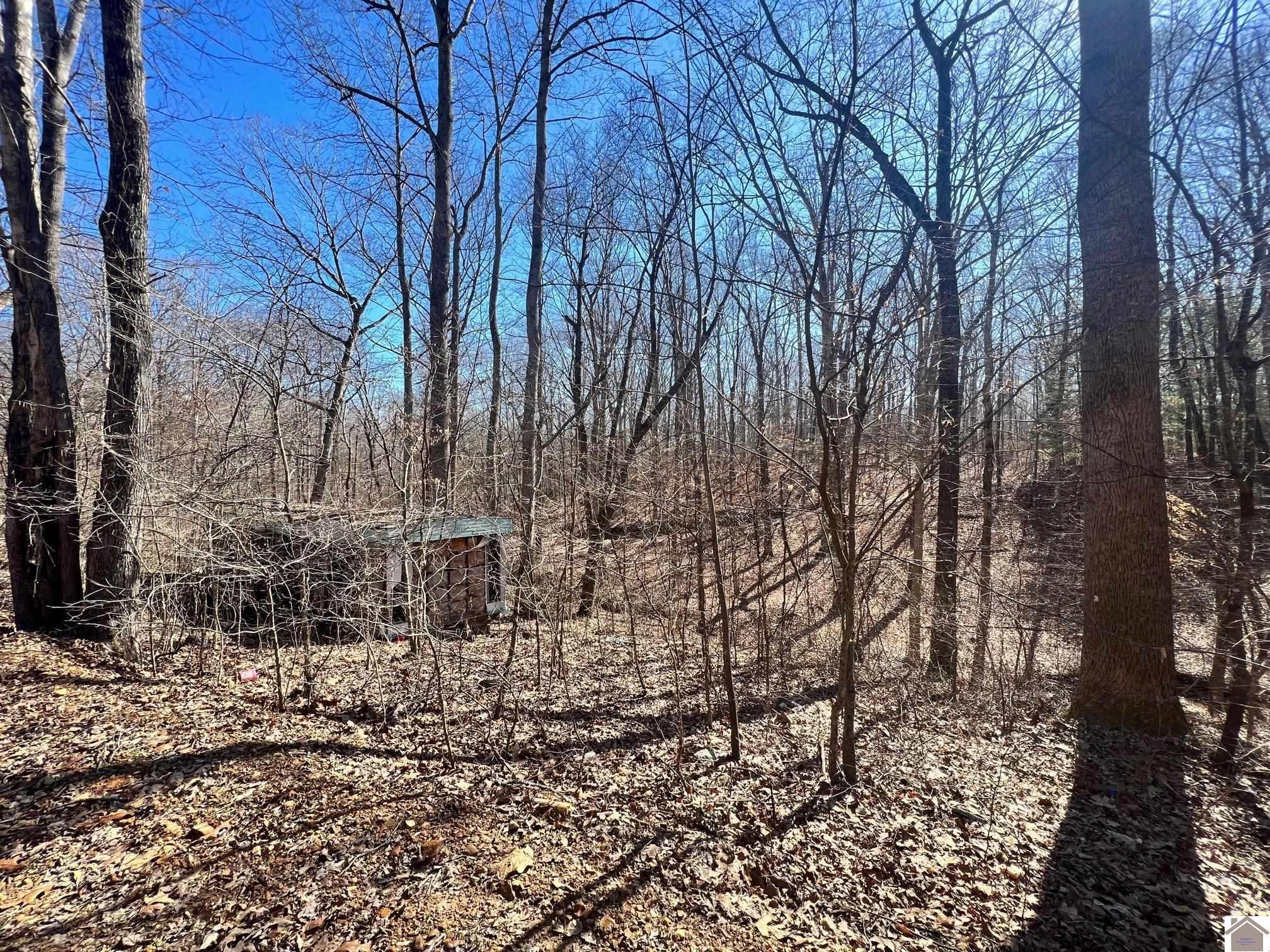 00 Ivey Drive, Lots 536 & 537, New Concord, KY lhrmls01503300