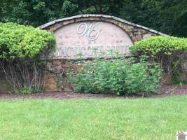 78 Crest Lane