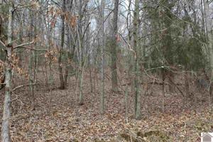 Lot 8 Roy Harris Road