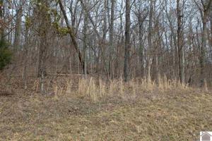Lot 34 Roy Harris Road