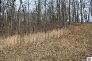 Lot 35 Roy Harris Road