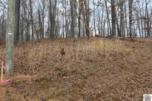 Lot 36 Roy Harris Road