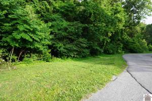 00 Goose Hollow Rd.