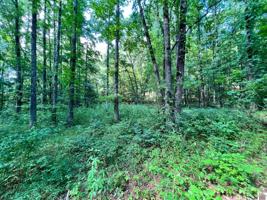 00 Landmark Circle, Lot 8