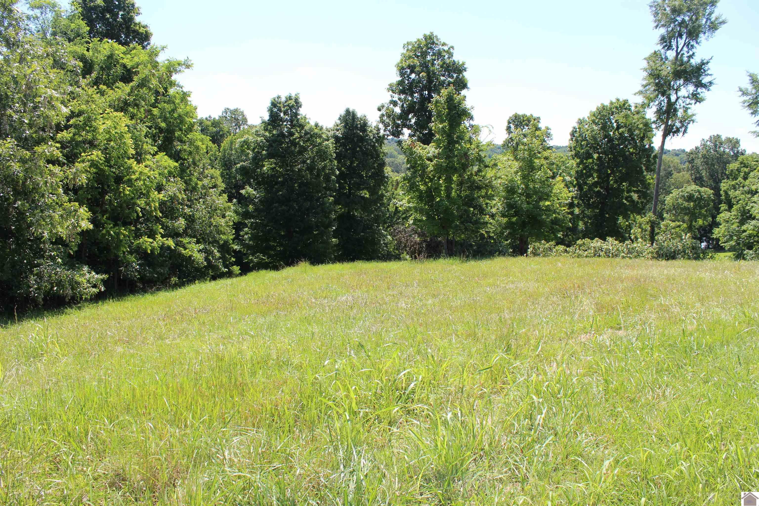 Image 2: Image 2