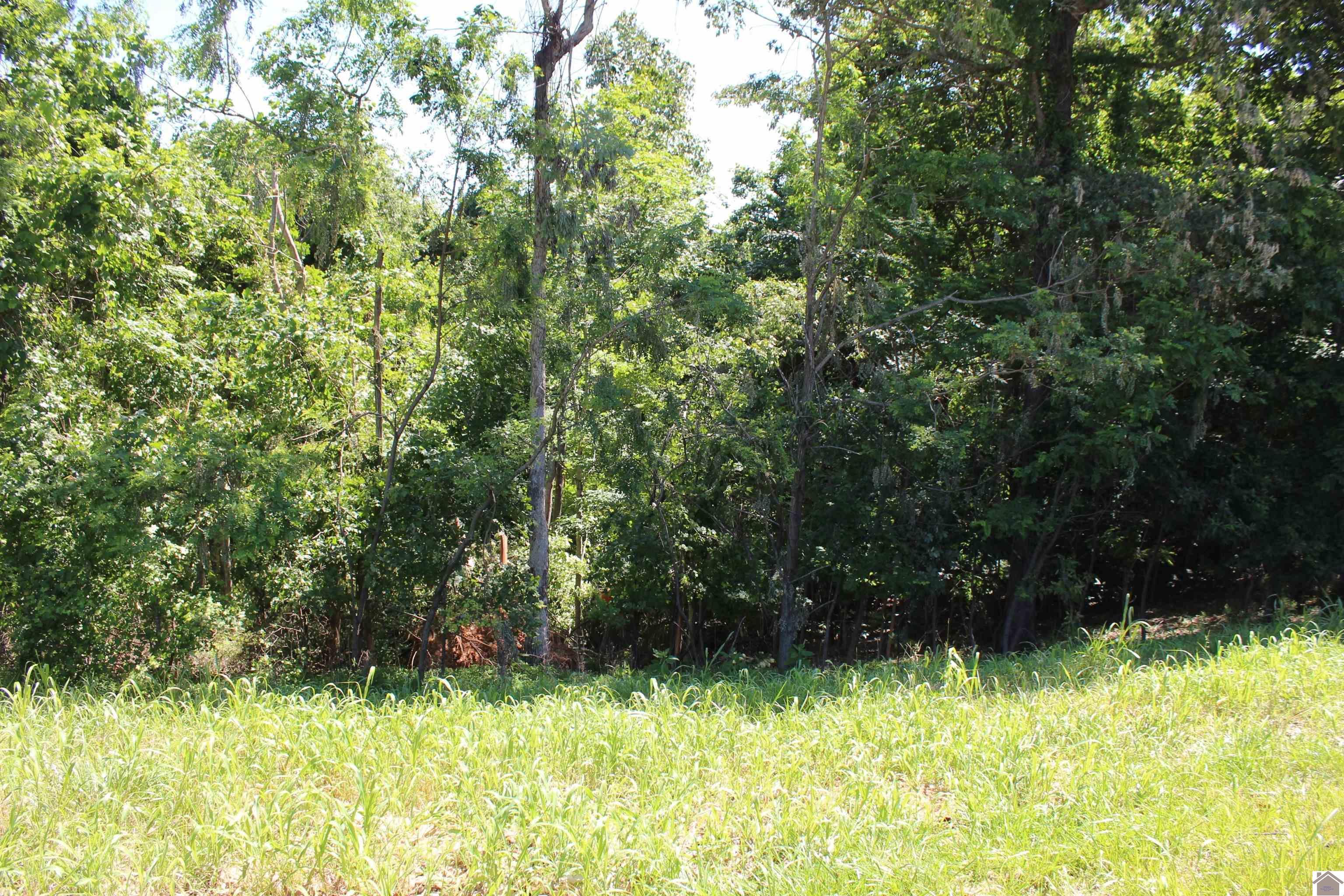 Image 3: Image 3