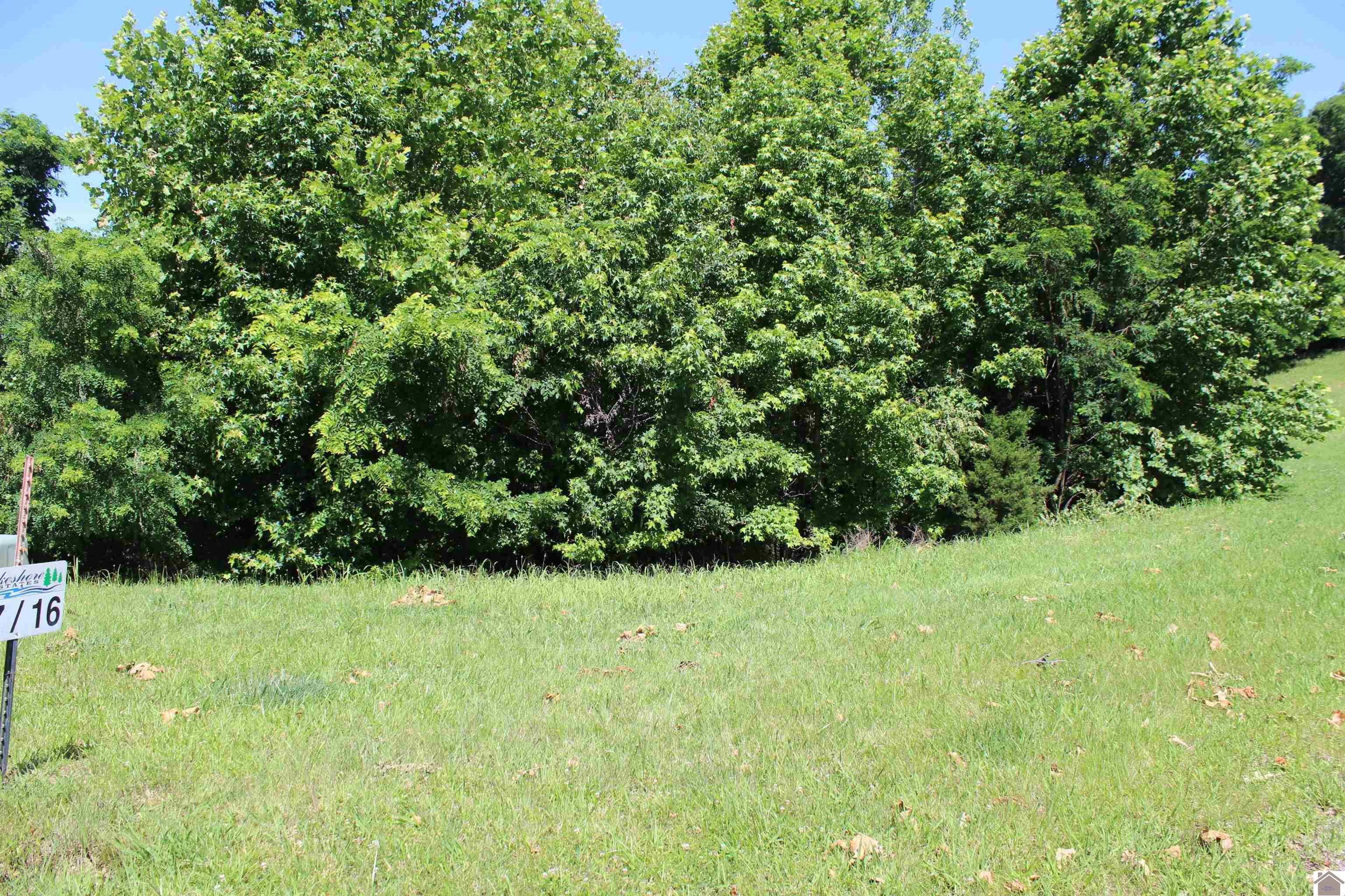 Image 3: Image 3