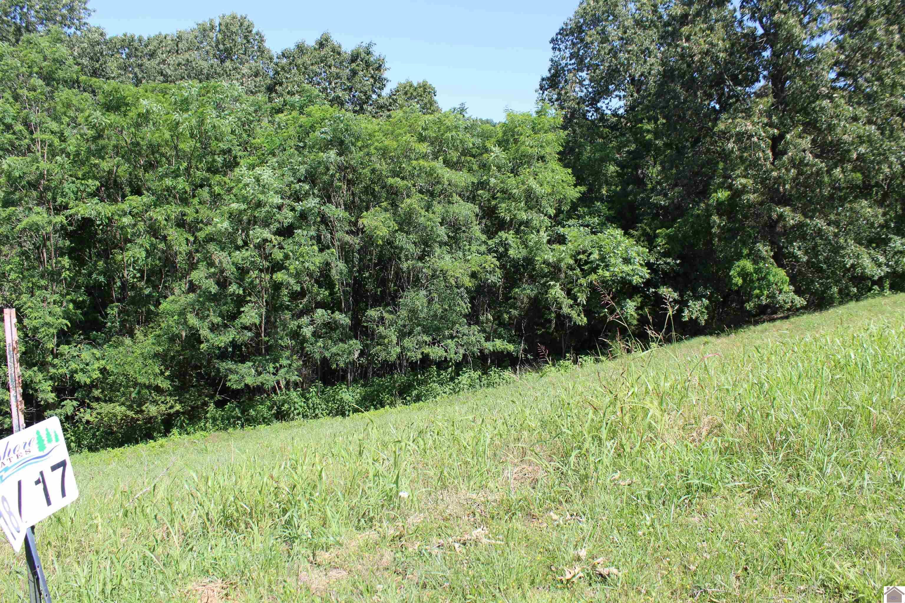 Image 4: Image 4