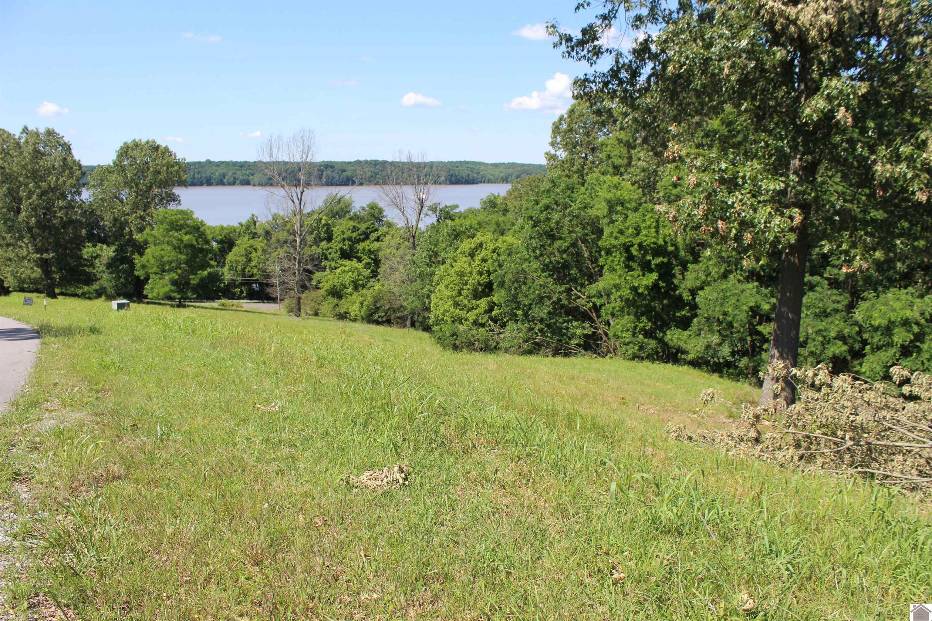 Image 2: Image 2