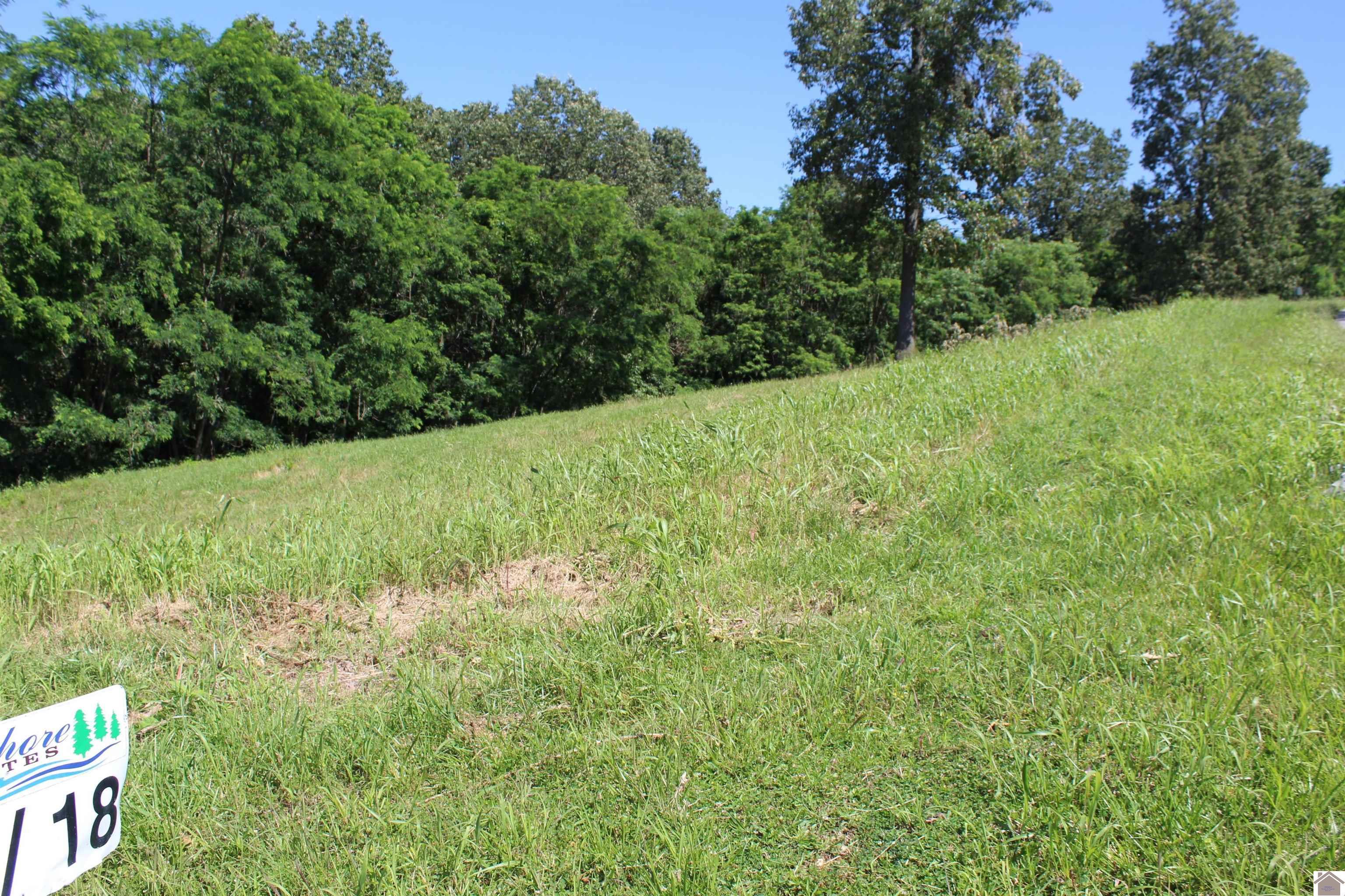 Image 3: Image 3