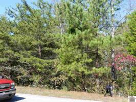 140 Nighthawk Drive (lot #432)