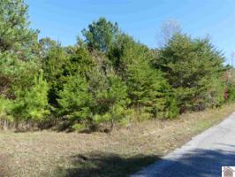 142 Nighthawk Drive (lot #433)
