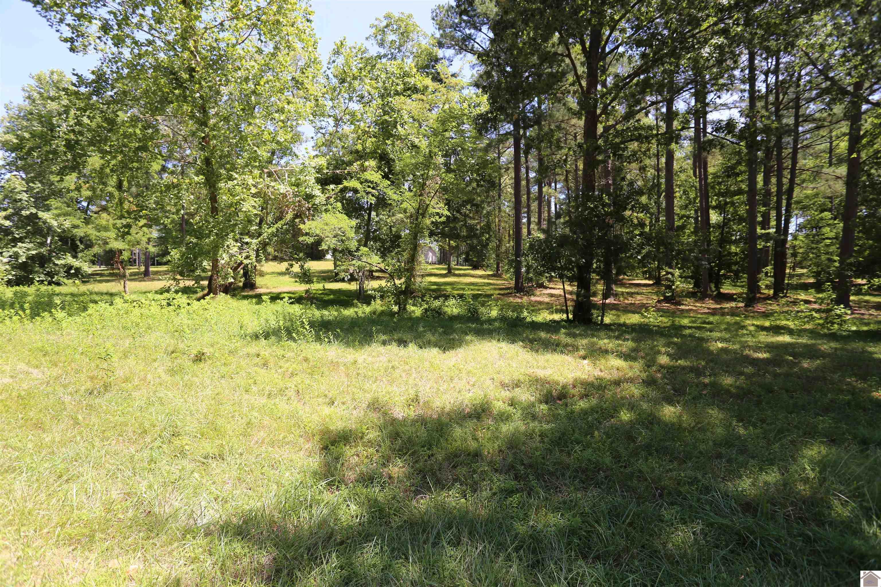 Image 1: Image 1
