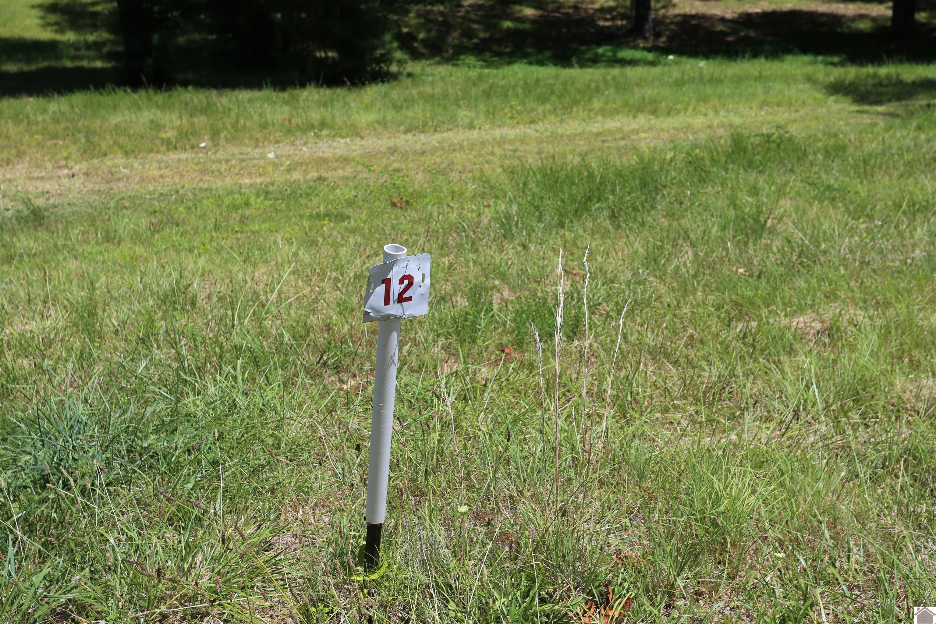 Image 1: Image 1