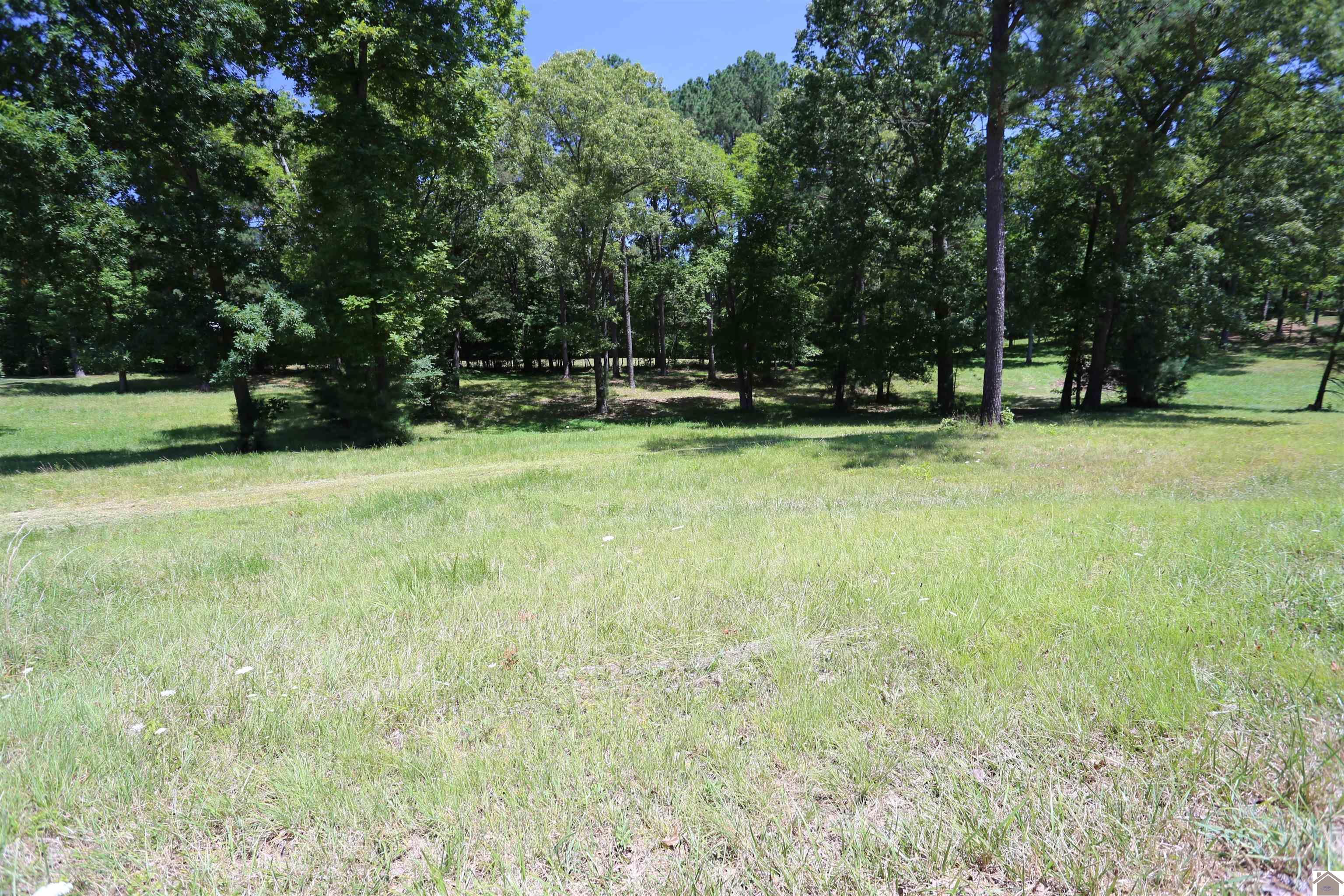 Image 2: Image 2