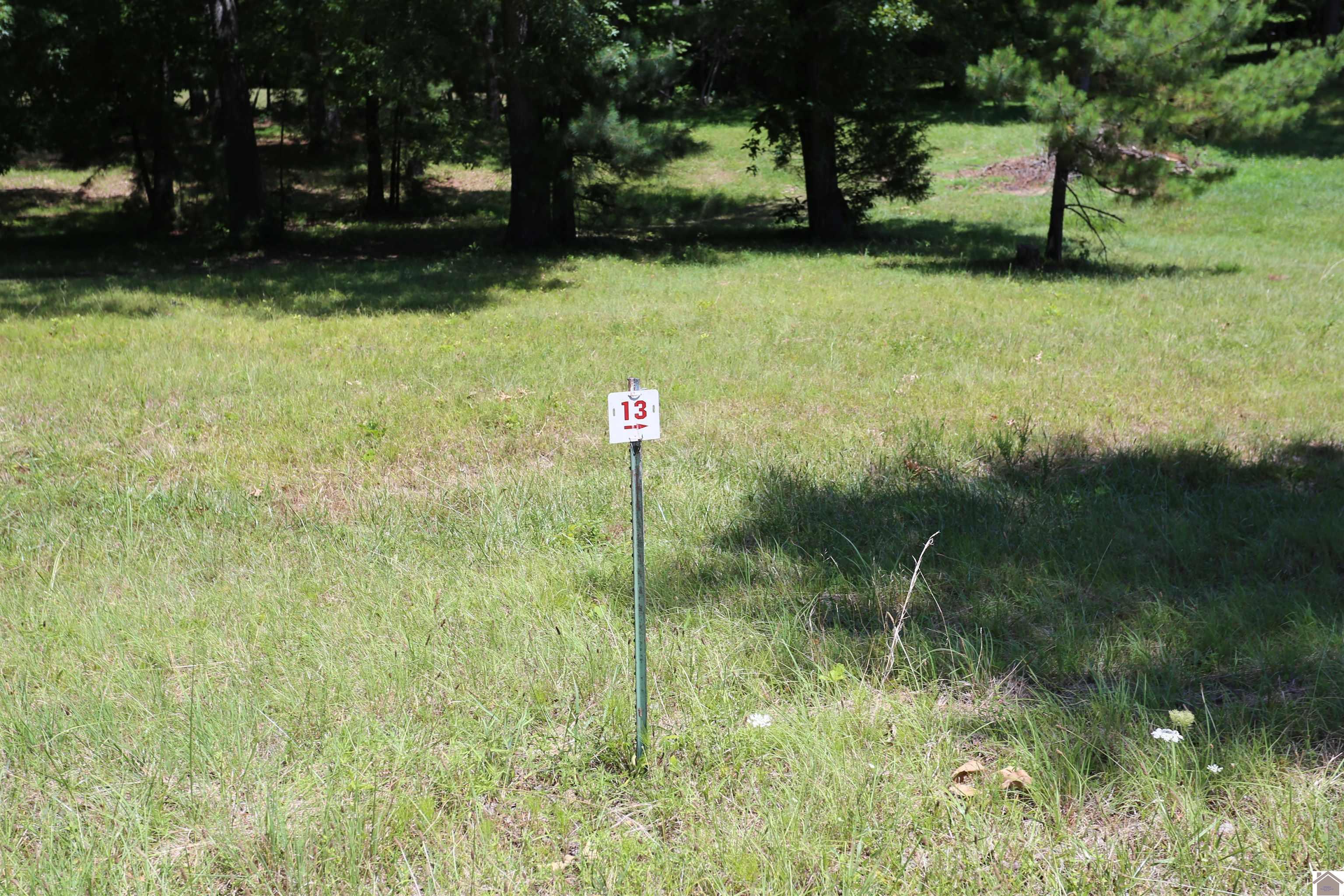 Image 1: Image 1