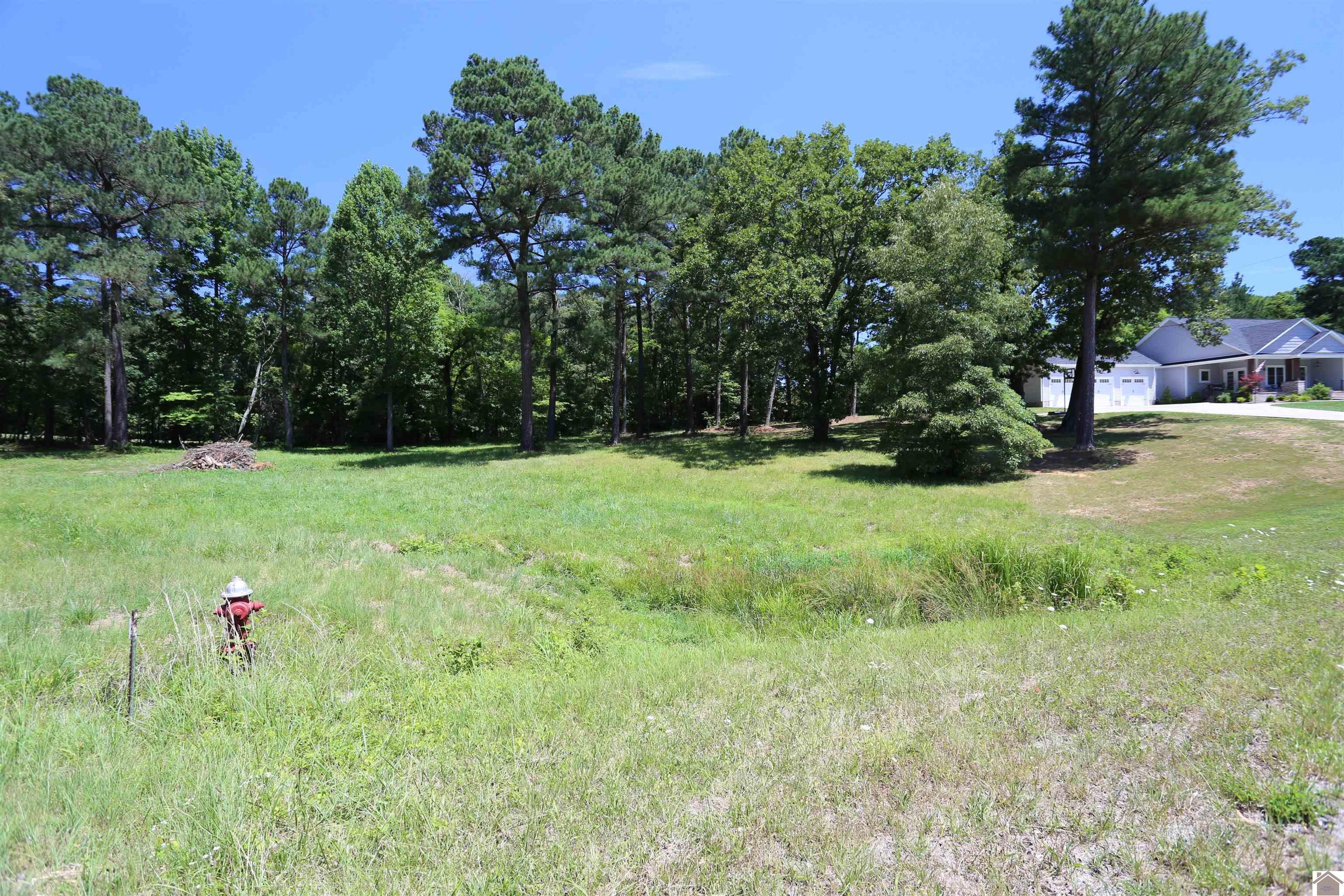 Image 1: Image 1
