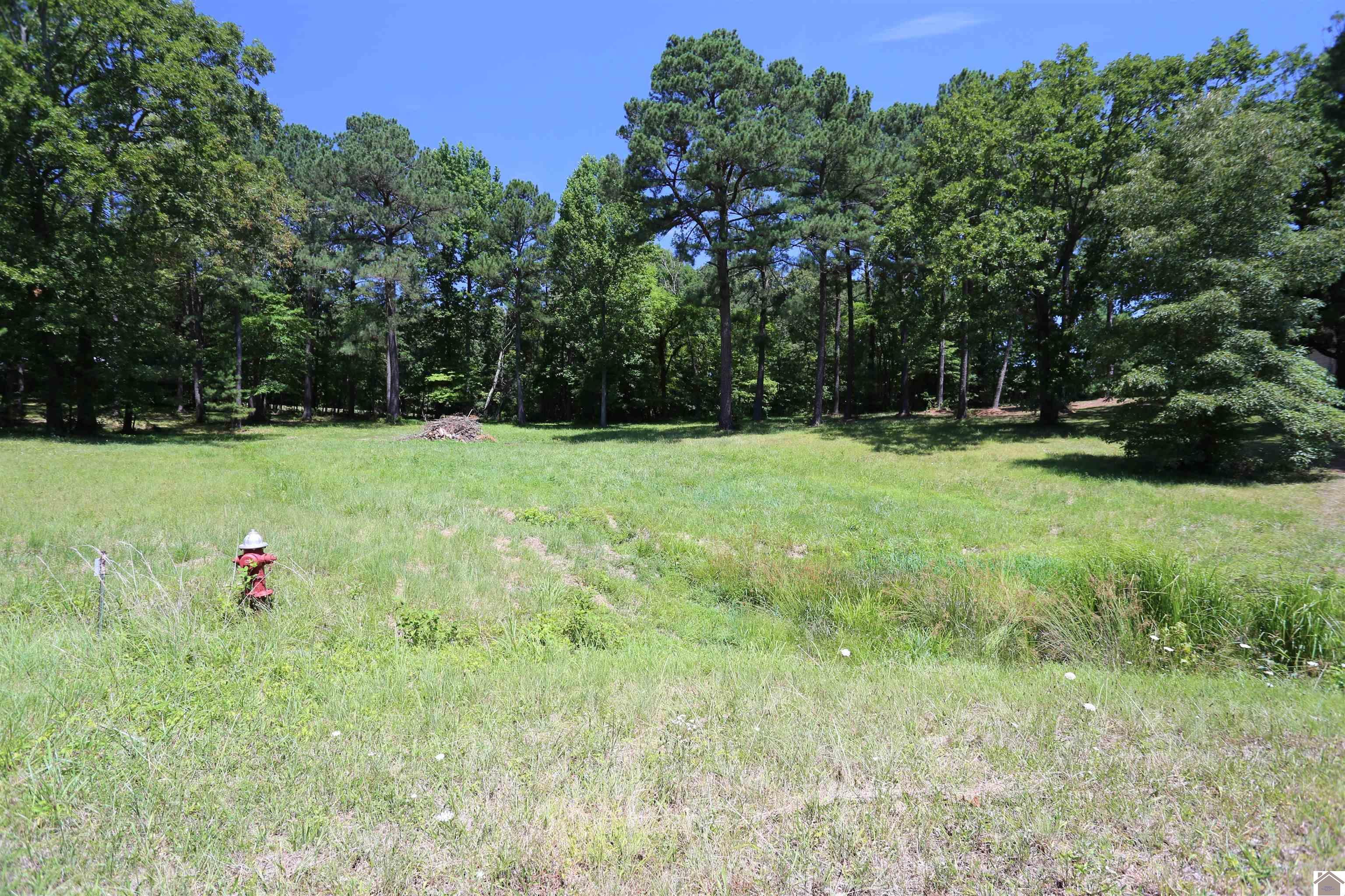 Image 2: Image 2