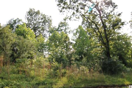 00 Paddle Wheel Road