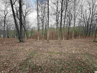 Lot #15 Waterfowl Lane