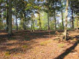 lot 19 hills hollow rd