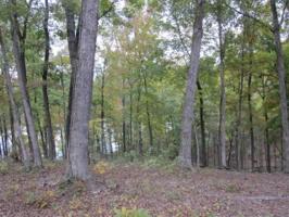 lot 43 OLD EAGLE ROAD