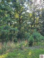 000 Hills Hollow Rd.