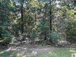 Lot 129 Eagle Look Lane