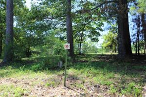 Lot #55 Pine View Drive