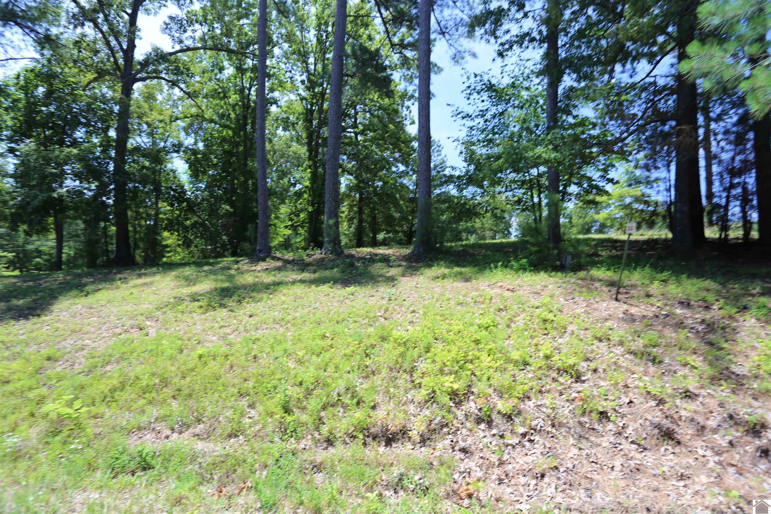 Image 1: Image 1